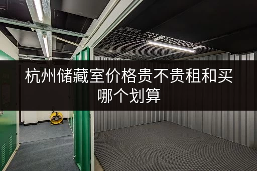 杭州储藏室价格贵不贵租和买哪个划算