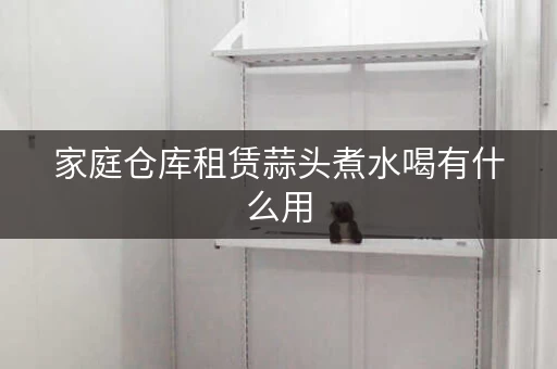 家庭仓库租赁，迷你仓家庭仓库出租