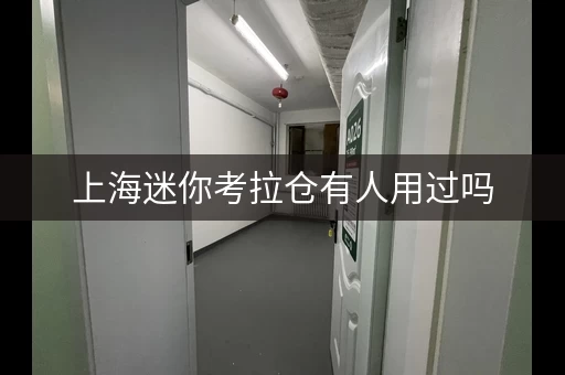 上海迷你考拉仓有人用过吗，迷你考拉仓储