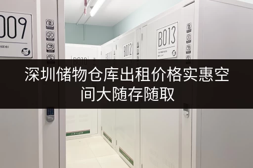 深圳储物仓库出租价格实惠空间大随存随取 深圳储物仓库出租价格实惠空间大随存随取