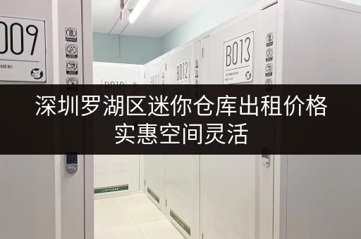 深圳罗湖区迷你仓库出租价格实惠空间灵活