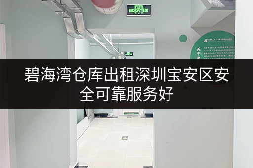 碧海湾仓库出租深圳宝安区安全可靠服务好