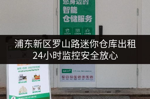 浦东新区罗山路迷你仓库出租24小时监控安全放心