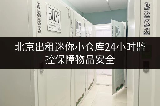 北京出租迷你小仓库24小时监控保障物品安全