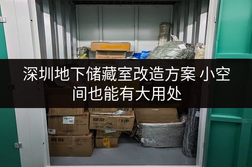 深圳地下储藏室改造方案 小空间也能有大用处 深圳地下储藏室改造方案 小空间也能有大用处