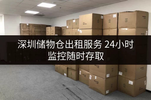 深圳储物仓出租服务 24小时监控随时存取 深圳储物仓出租服务 24小时监控随时存取