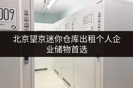 北京望京迷你仓库出租个人企业储物首选