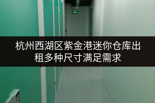 杭州西湖区紫金港迷你仓库出租多种尺寸满足需求