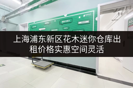 上海浦东新区花木迷你仓库出租价格实惠空间灵活
