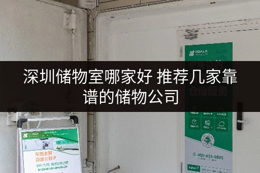 深圳储物室哪家好 推荐几家靠谱的储物公司