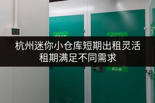 杭州迷你小仓库短期出租灵活租期满足不同需求