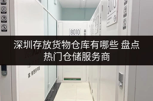 深圳存放货物仓库有哪些 盘点热门仓储服务商
