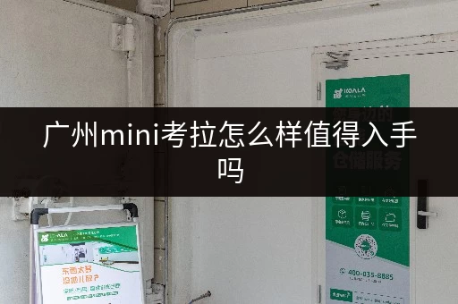 广州mini考拉怎么样值得入手吗