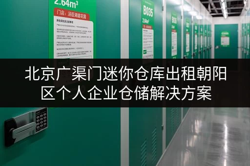 北京广渠门迷你仓库出租朝阳区个人企业仓储解决方案 北京广渠门迷你仓库出租朝阳区个人企业仓储解决方案