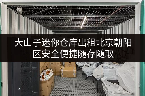 大山子迷你仓库出租北京朝阳区安全便捷随存随取 大山子迷你仓库出租北京朝阳区安全便捷随存随取