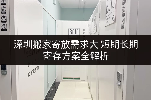 深圳搬家寄放需求大 短期长期寄存方案全解析 深圳搬家寄放需求大 短期长期寄存方案全解析