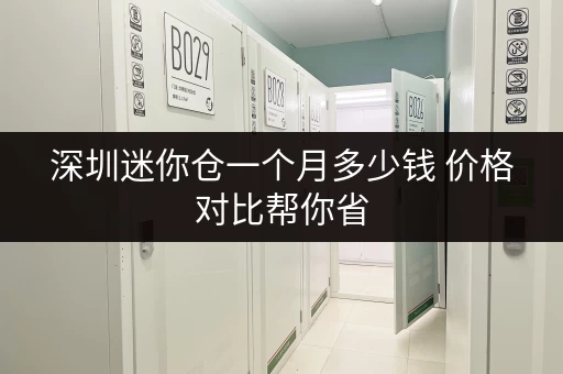深圳迷你仓一个月多少钱 价格对比帮你省 深圳迷你仓一个月多少钱 价格对比帮你省