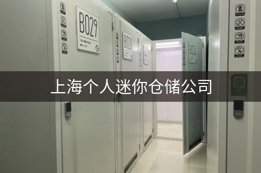 上海个人迷你仓储公司，上海个人仓库迷你仓