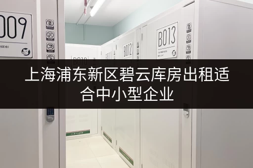 上海浦东新区碧云库房出租适合中小型企业