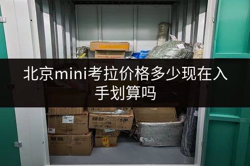 北京mini考拉价格多少现在入手划算吗 北京mini考拉价格多少现在入手划算吗