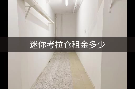 迷你考拉仓租金多少，考拉迷你仓北京分店