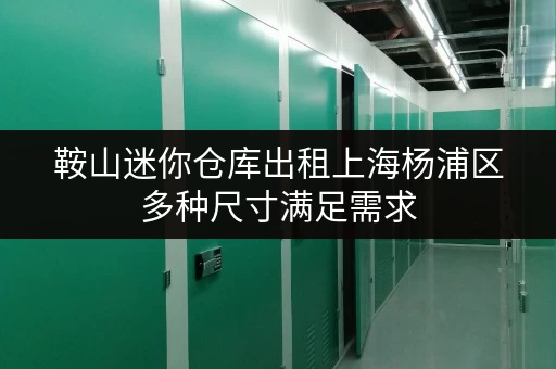 鞍山迷你仓库出租上海杨浦区多种尺寸满足需求 鞍山迷你仓库出租上海杨浦区多种尺寸满足需求
