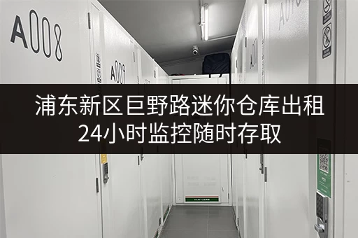 浦东新区巨野路迷你仓库出租24小时监控随时存取 浦东新区巨野路迷你仓库出租24小时监控随时存取