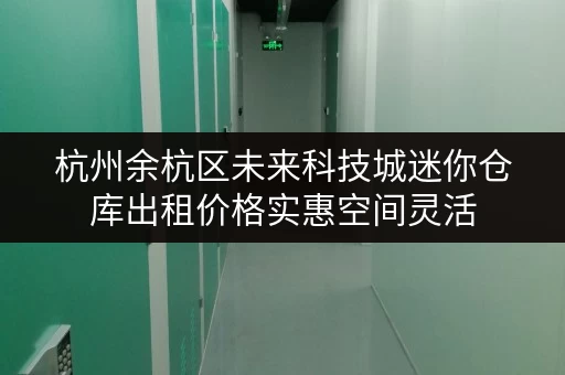 杭州余杭区未来科技城迷你仓库出租价格实惠空间灵活