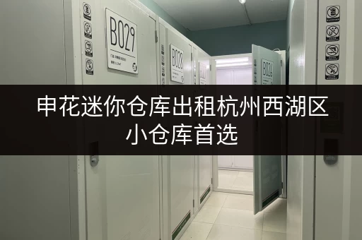 申花迷你仓库出租杭州西湖区小仓库首选