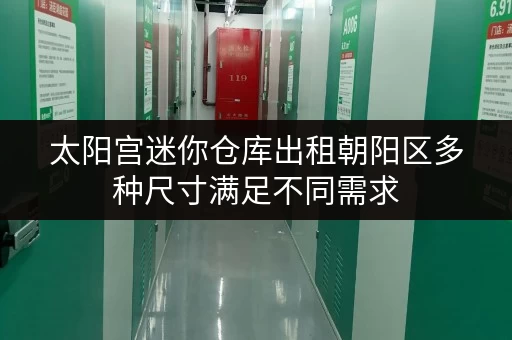 太阳宫迷你仓库出租朝阳区多种尺寸满足不同需求