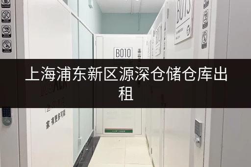 上海浦东新区源深仓储仓库出租,适合个人、企业各类存储需求 上海浦东新区源深仓储仓库出租,适合个人、企业各类存储需求