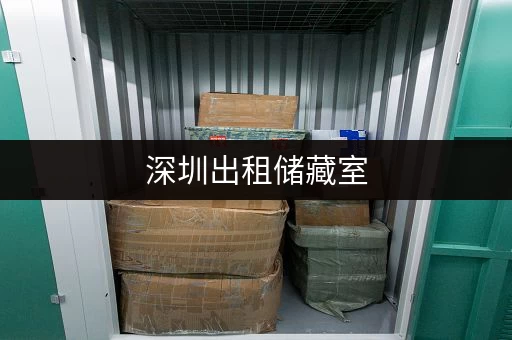 深圳出租储藏室,24小时监控防潮控温安全又放心 深圳出租储藏室,24小时监控防潮控温安全又放心