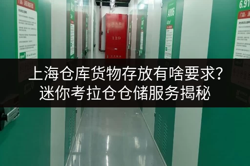 上海仓库货物存放有啥要求?迷你考拉仓仓储服务揭秘 上海仓库货物存放有啥要求?迷你考拉仓仓储服务揭秘