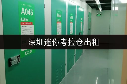 深圳迷你考拉仓出租,一站式服务解决您的存储难题 深圳迷你考拉仓出租,一站式服务解决您的存储难题