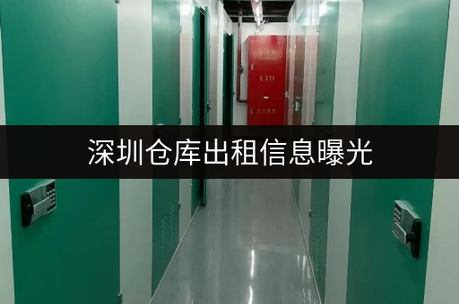 深圳仓库出租信息曝光,安全防潮存放物品超安心 深圳仓库出租信息曝光,安全防潮存放物品超安心