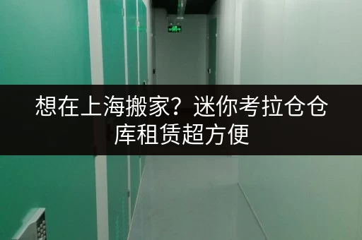 想在上海搬家?迷你考拉仓仓库租赁超方便 想在上海搬家?迷你考拉仓仓库租赁超方便