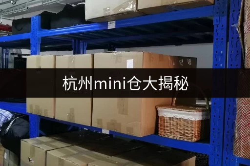 杭州mini仓大揭秘,个人企业储物需求全搞定 杭州mini仓大揭秘,个人企业储物需求全搞定