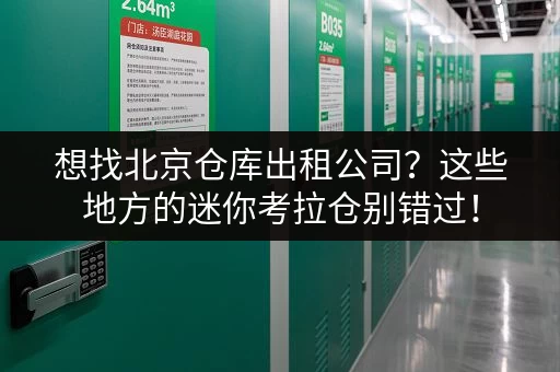 想找北京仓库出租公司?这些地方的迷你考拉仓别错过! 想找北京仓库出租公司?这些地方的迷你考拉仓别错过!
