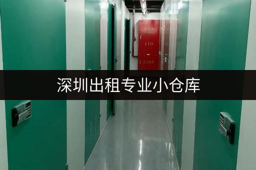 深圳出租专业小仓库,多区可选价格实惠超划算 深圳出租专业小仓库,多区可选价格实惠超划算
