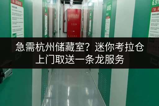 急需杭州储藏室？迷你考拉仓上门取送一条龙服务