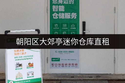 朝阳区大郊亭迷你仓库直租，24 小时监控，一人一仓超安心