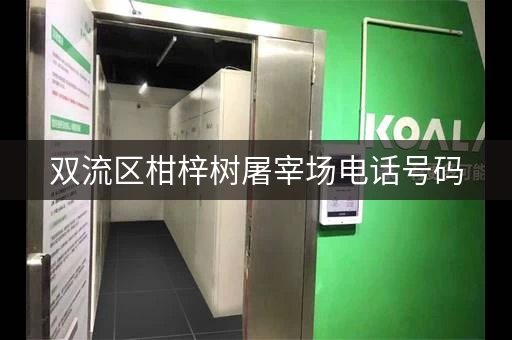 迷你考拉仓一站式物品存储方案