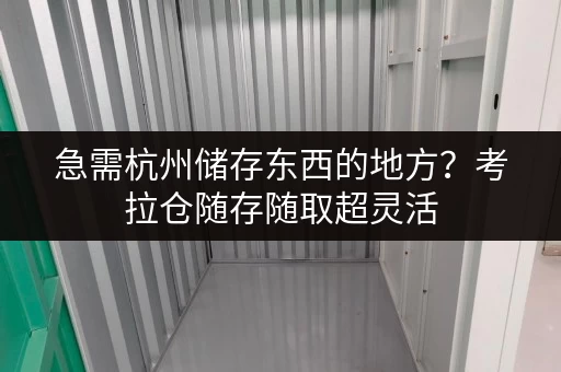 急需杭州储存东西的地方?考拉仓随存随取超灵活 急需杭州储存东西的地方?考拉仓随存随取超灵活
