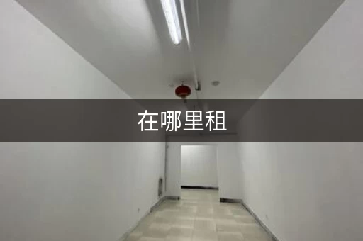 在哪里租，哪里可以租东西用
