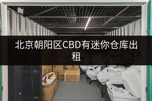北京朝阳区CBD有迷你仓库出租,解决你的存储难题 北京朝阳区CBD有迷你仓库出租,解决你的存储难题