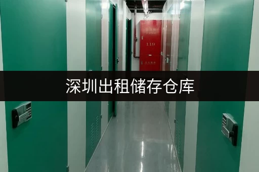 深圳出租储存仓库，环境优良，保障物品存放安全无忧