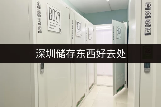 深圳储存东西好去处,迷你考拉仓安全便捷又实惠 深圳储存东西好去处,迷你考拉仓安全便捷又实惠