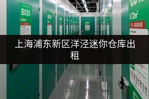 上海浦东新区洋泾迷你仓库出租,个人闲置物品存放好去处 上海浦东新区洋泾迷你仓库出租,个人闲置物品存放好去处