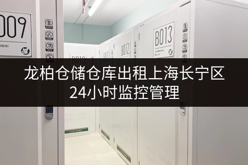 龙柏仓储仓库出租上海长宁区24小时监控管理 龙柏仓储仓库出租上海长宁区24小时监控管理