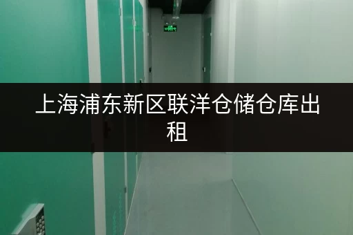 上海浦东新区联洋仓储仓库出租,适合个人企业多种存储需求 上海浦东新区联洋仓储仓库出租,适合个人企业多种存储需求